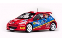 Peugeot 207 S2000 - Rallye Sanremo 2007 - Rossetti - Chiarcossi - Sun Star 5434