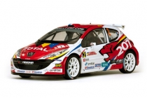 Peugeot 207 S2000 - Rallye Sanremo 2007 - Rossetti - Chiarcossi - Sun Star 5434