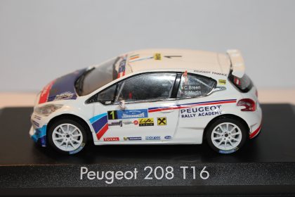 Rally  2  VALLI   2014 PEUGEOT 208 R5 DECAL  1/43 ANDREUCCI 